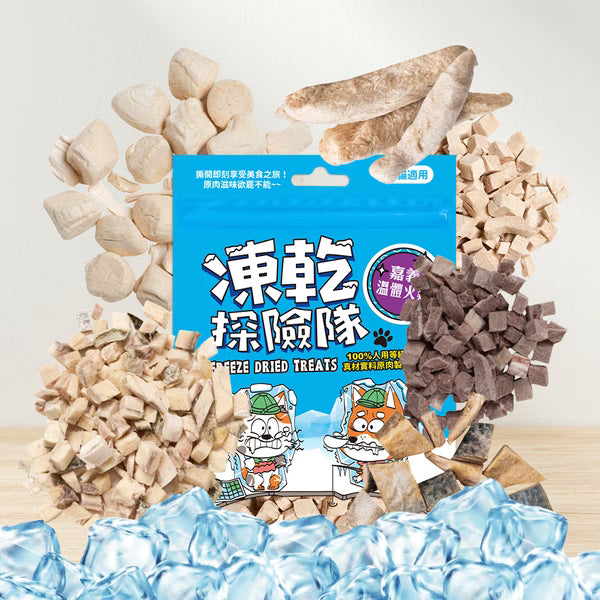 凍乾探險隊