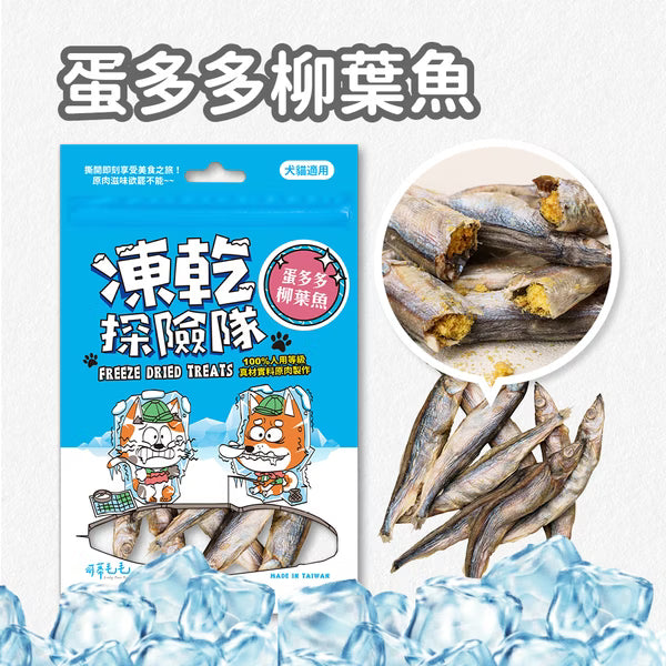 凍乾探險隊