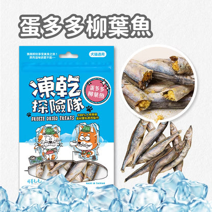 凍乾探險隊