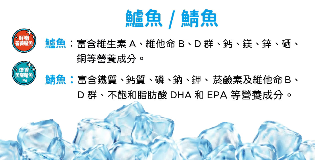 凍乾探險隊