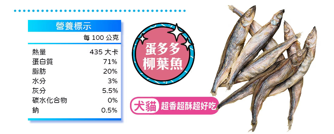 凍乾探險隊