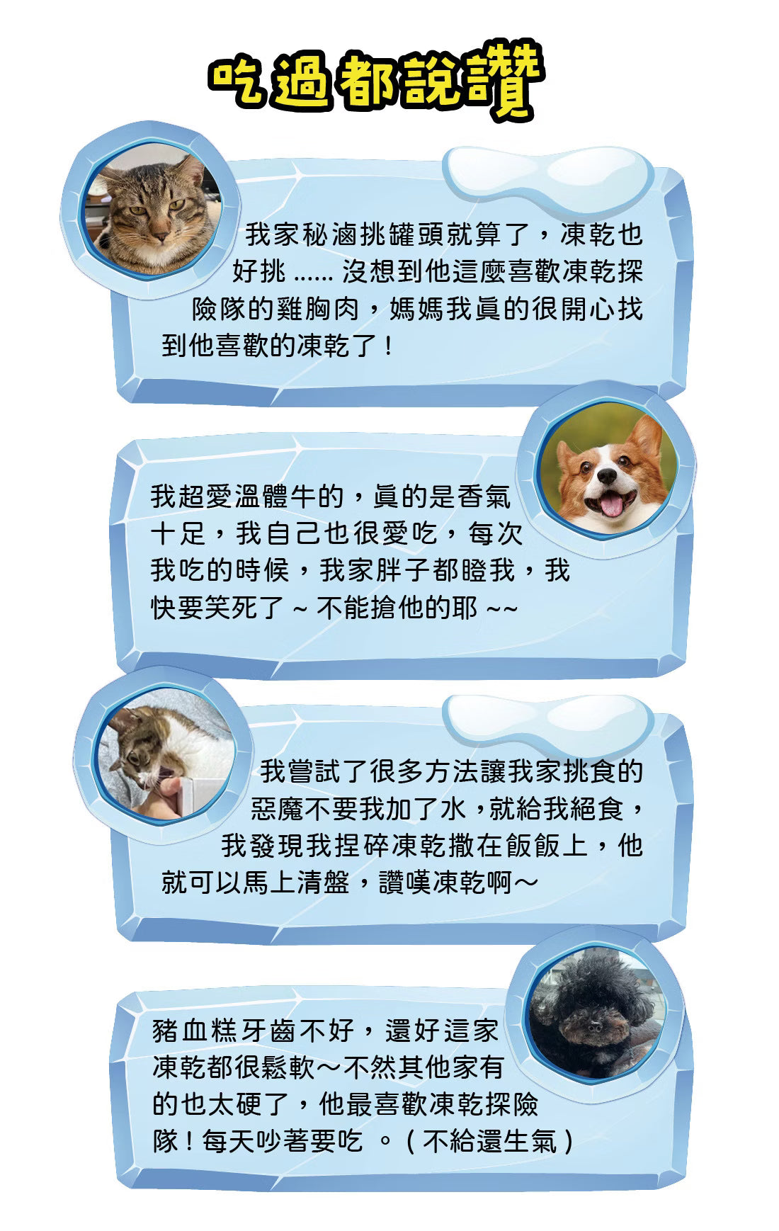 凍乾探險隊